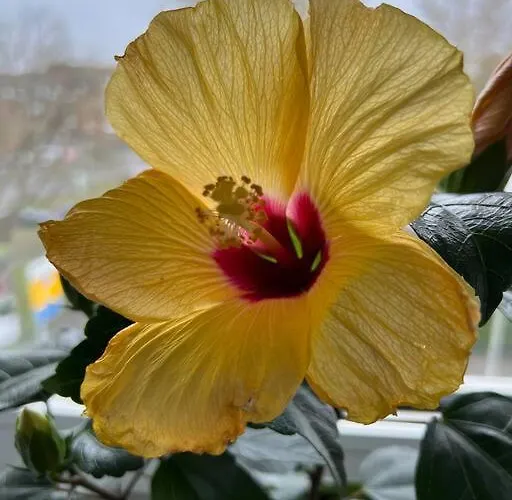 Zentrum Mg Auf Zeit 아파트 뮌헨글라드바흐